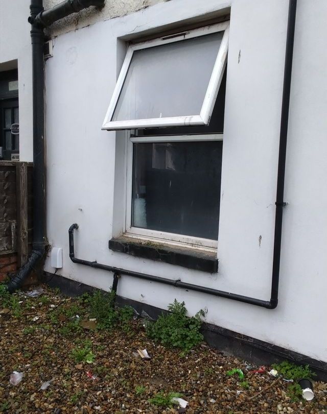 Window 