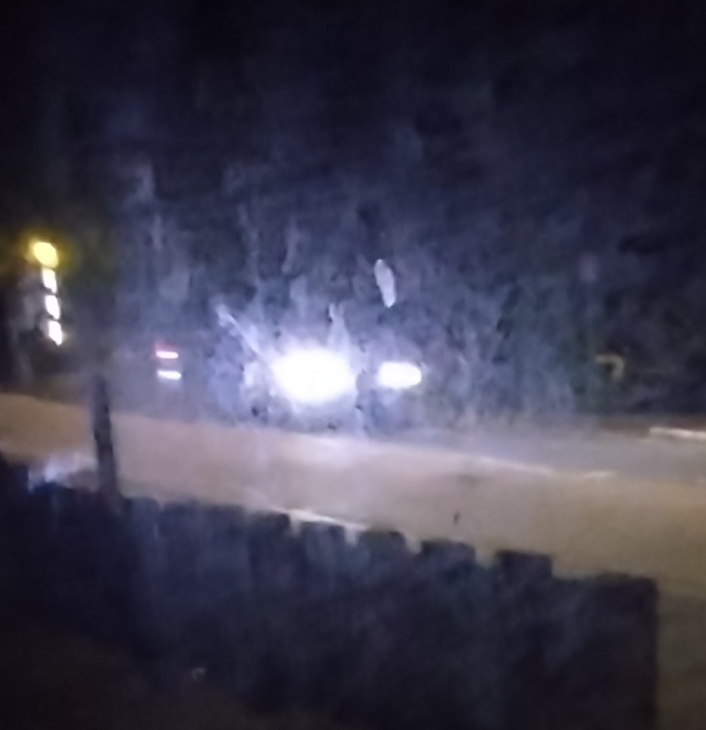Vehicular Harassment